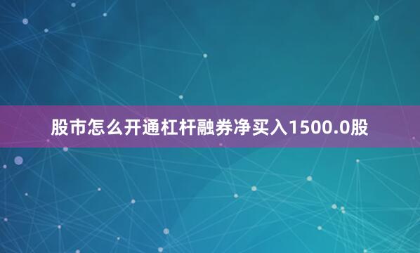 股市怎么开通杠杆融券净买入1500.0股